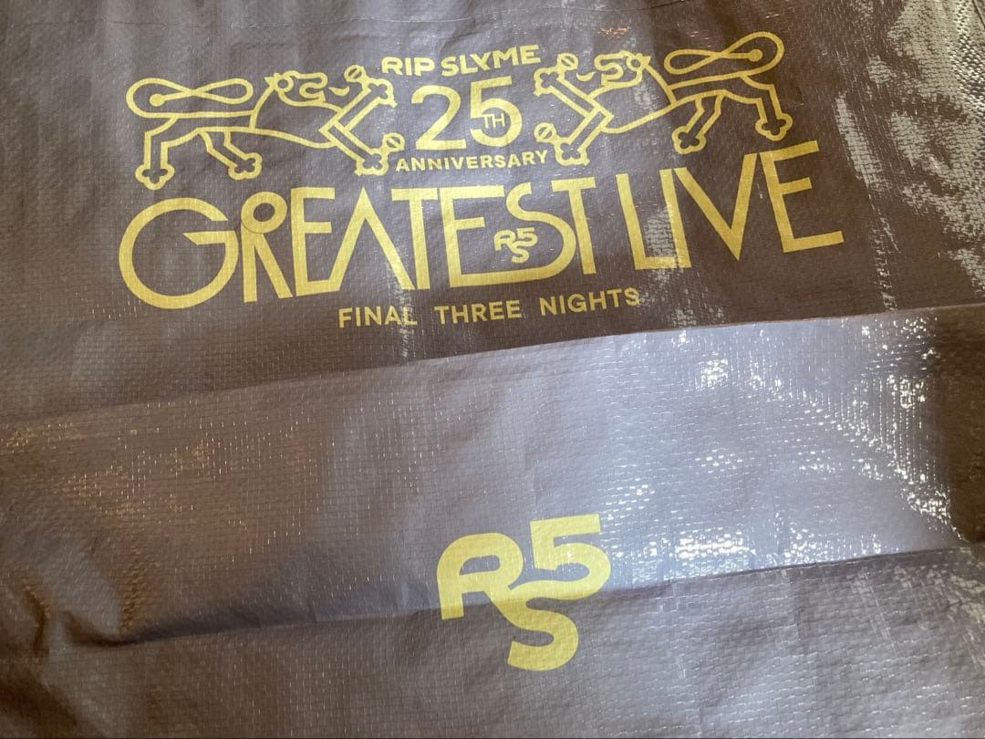 RIP SLYME GREATEST LIVE 入場者特典 メダル バッグ