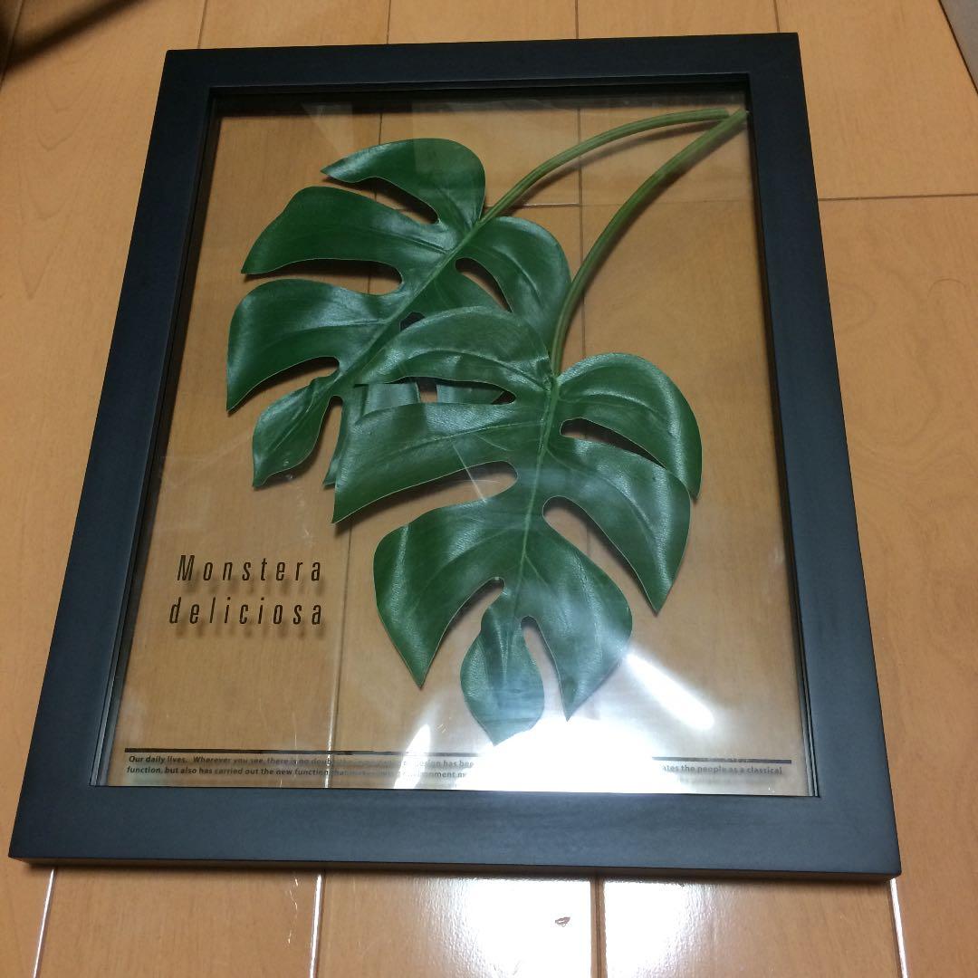 東京インテリア 壁掛け モンステラ