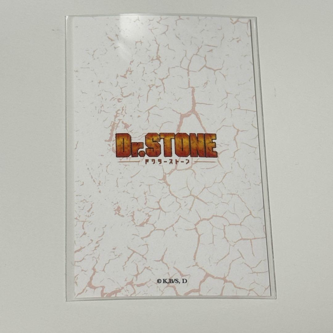 【匿名配送】七海龍水 お花見 カード 49枚