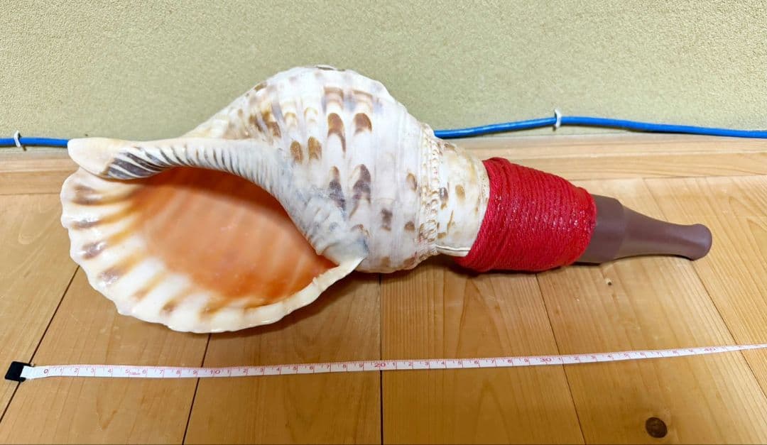 特大修験道法螺貝42㎝　山伏　ほら貝　ホラガイ
