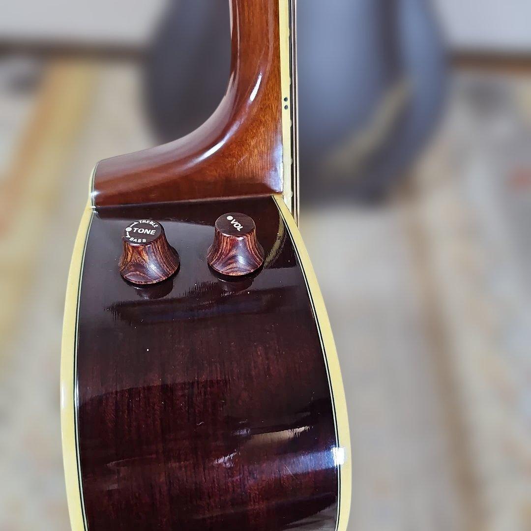 ARIA.FE-50ラウンドバック、エレアコ ハードケース付き。