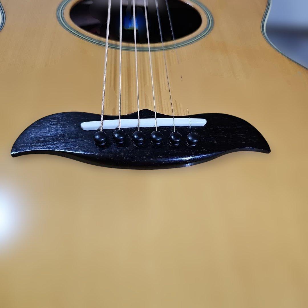 ARIA.FE-50ラウンドバック、エレアコ ハードケース付き。