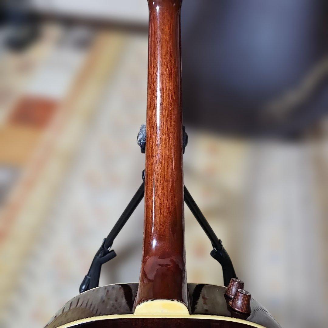 ARIA.FE-50ラウンドバック、エレアコ ハードケース付き。