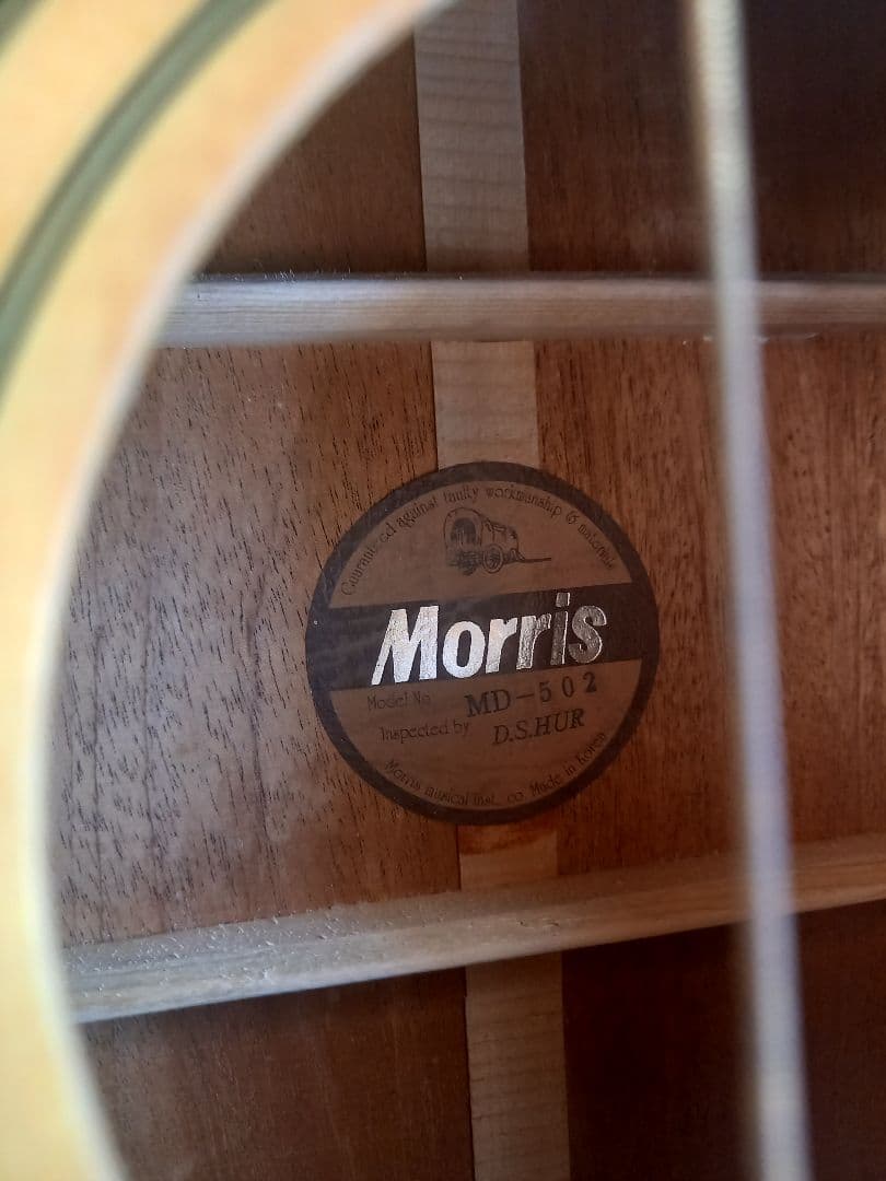 Morris アコースティックギター【MD502】