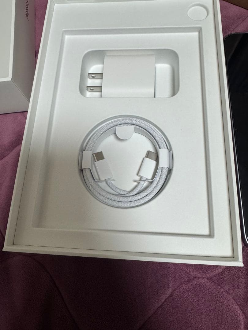 Apple iPad mini (第7世代) A17 pro WI-FI