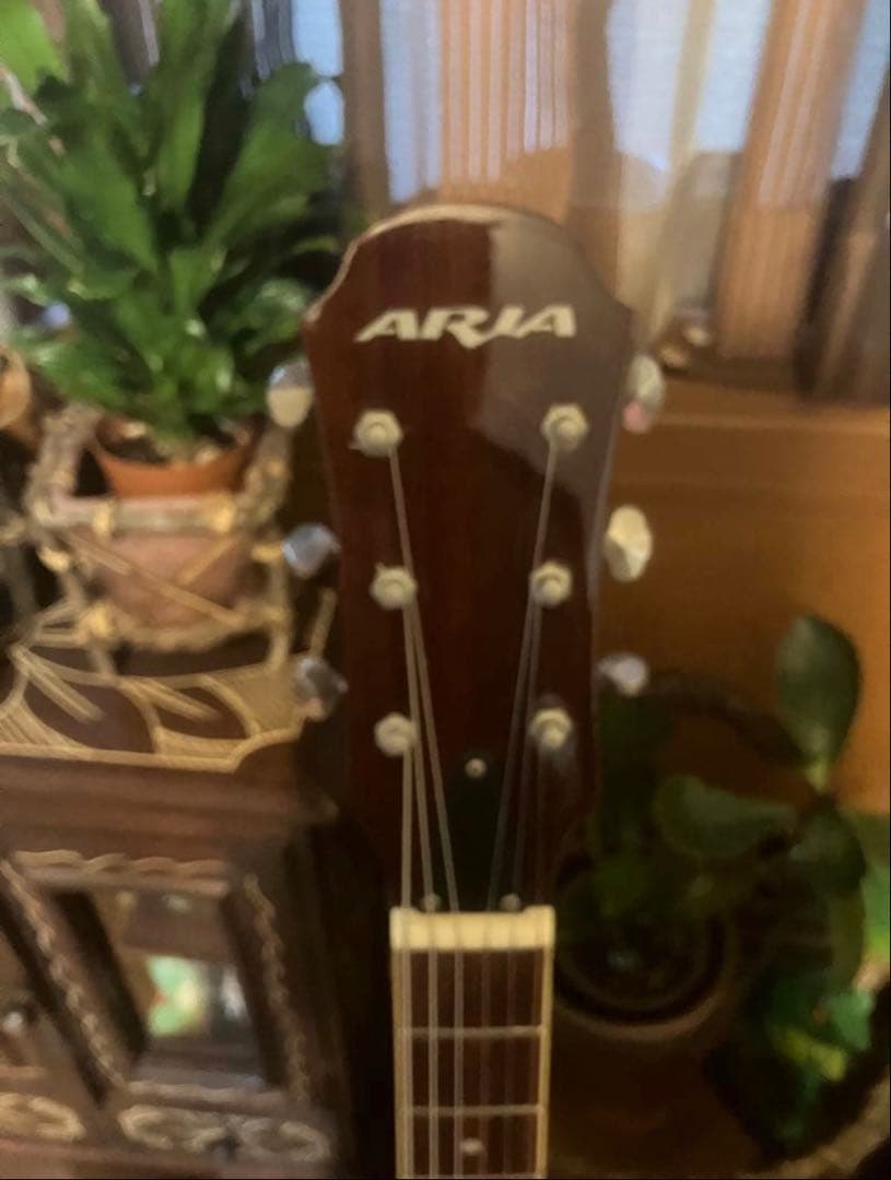 【美品】Aria ProⅡ FA-50E【おまけ付き】