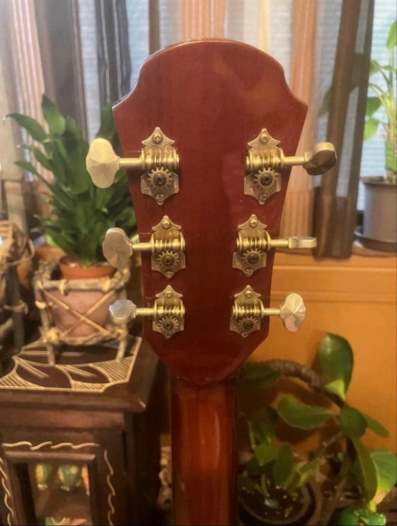 【美品】Aria ProⅡ FA-50E【おまけ付き】