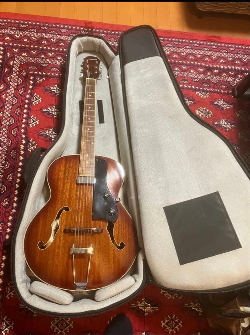 【美品】Aria ProⅡ FA-50E【おまけ付き】