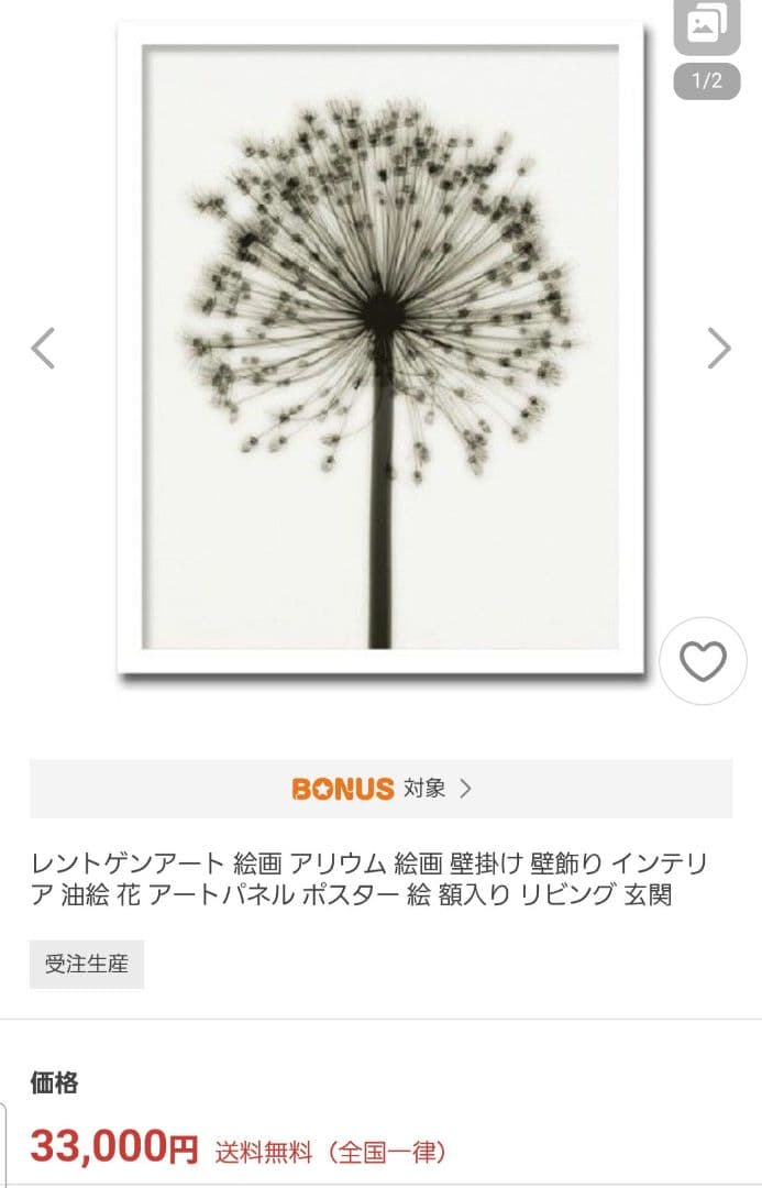 Steven N.Meyers レントゲンフォトアート Allium