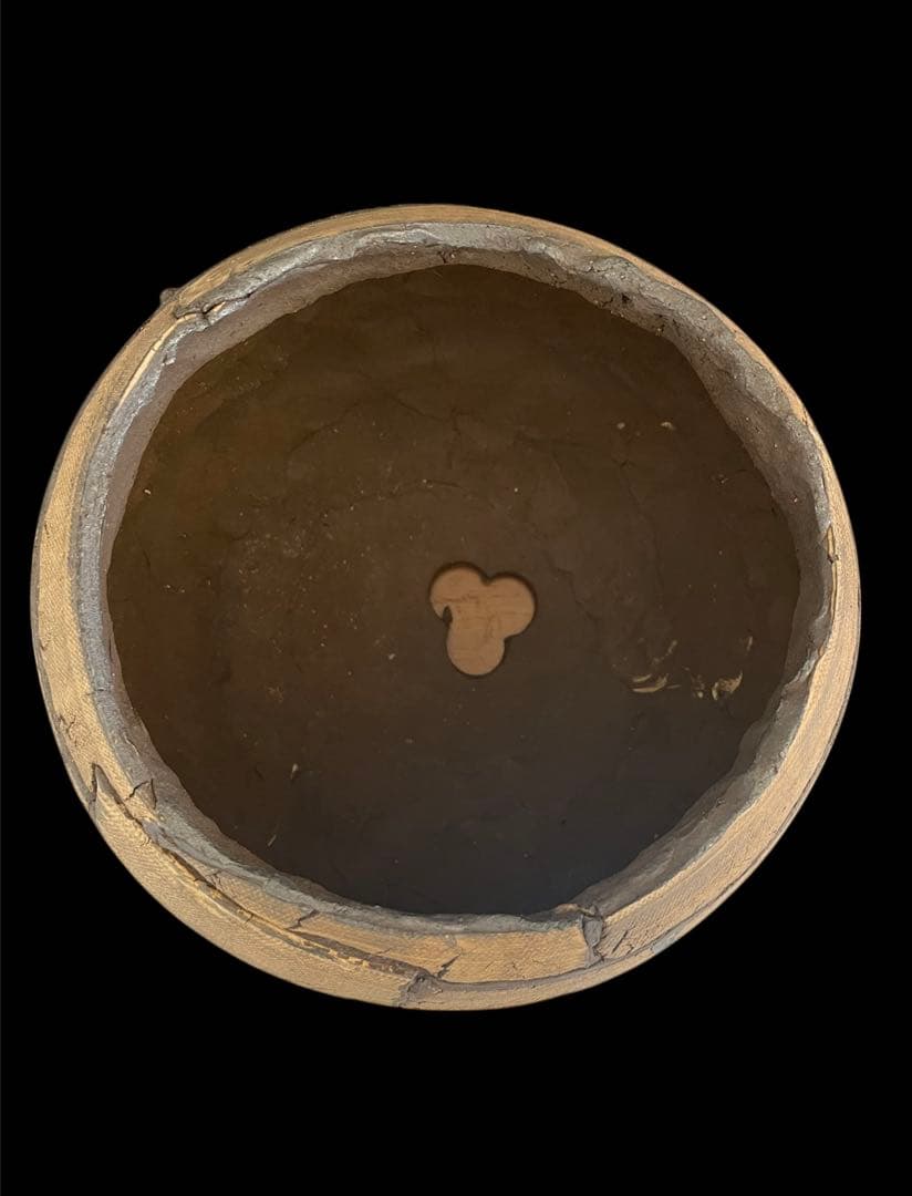 希少 新品 信楽焼 鉢COMWORK STUDIO コムワーク 陶器 塊根