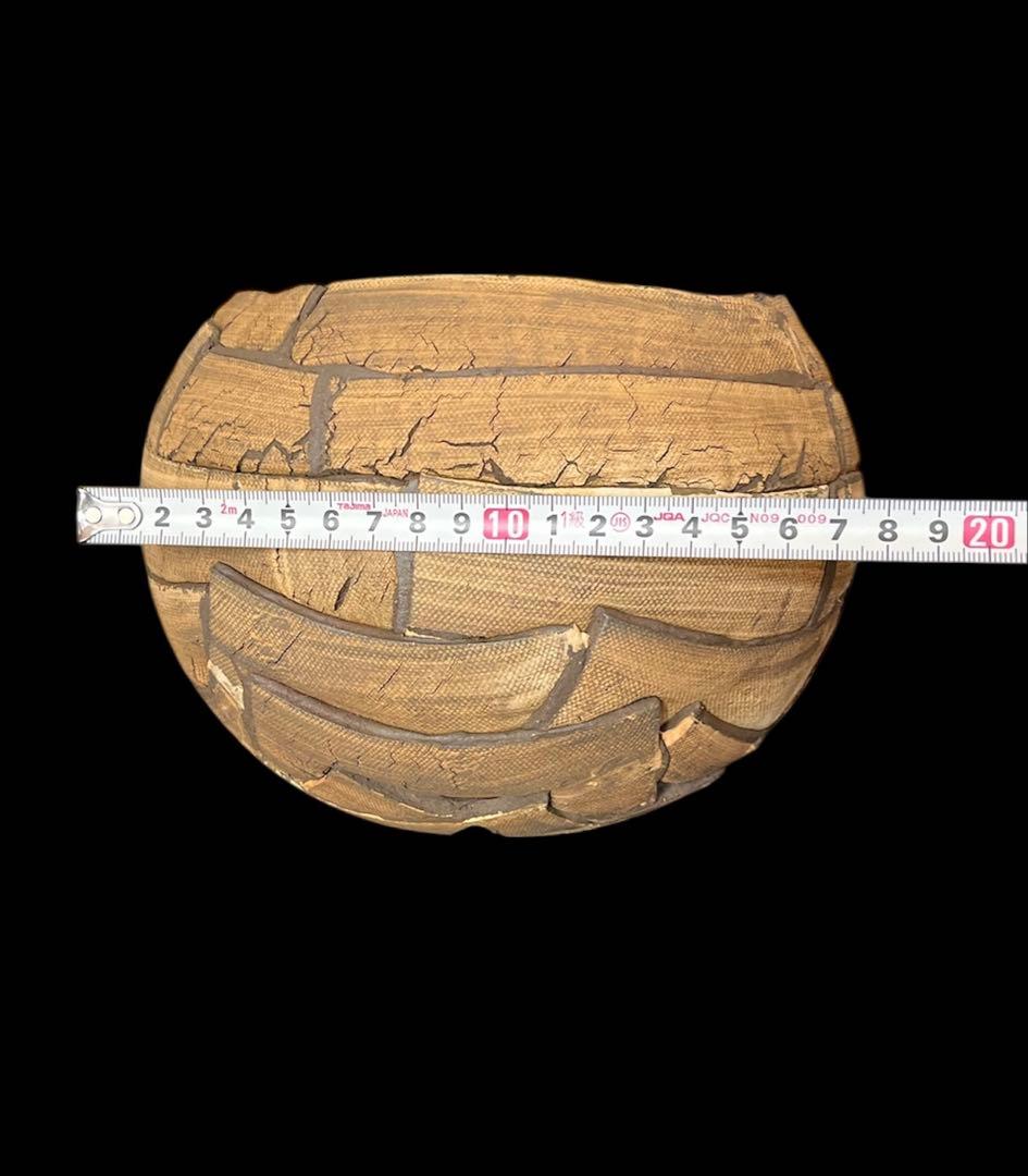 希少 新品 信楽焼 鉢COMWORK STUDIO コムワーク 陶器 塊根