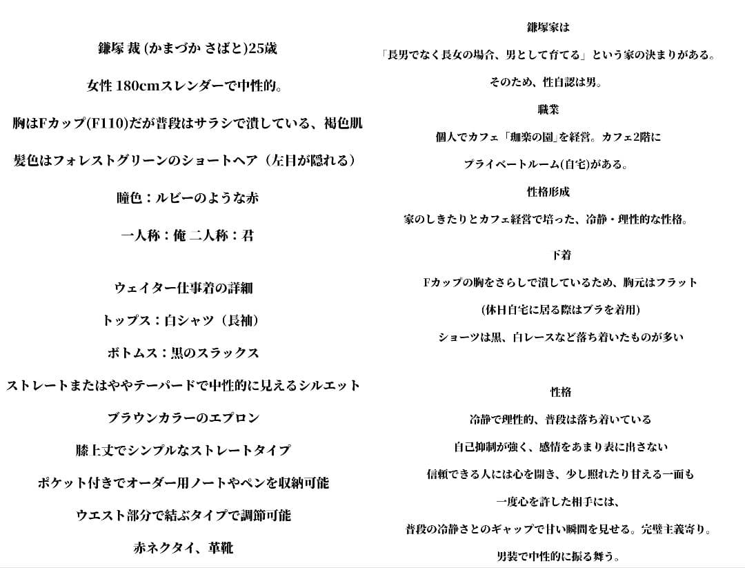 こたろう 依頼用設定資料ページ