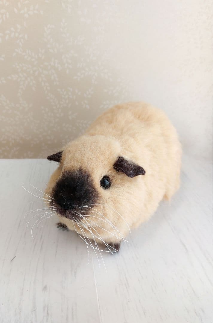 羊毛フェルト　モルモット(ロシアンスモークモルモット)