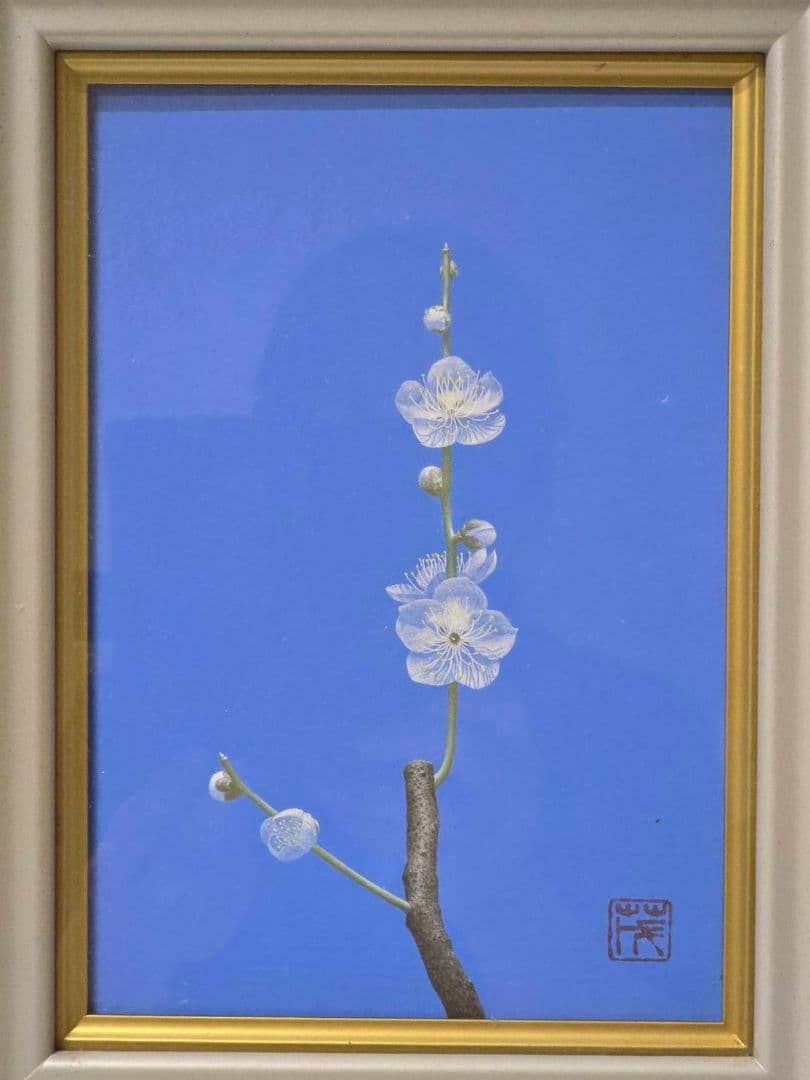 688 小山 茂 白梅 絵画 23×16