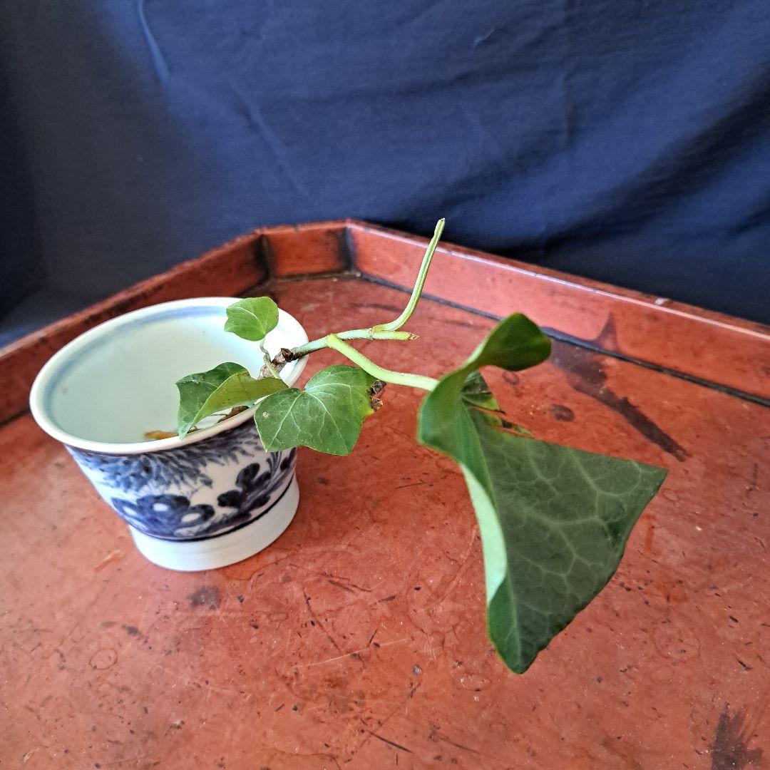 「 5客揃いの楽しみ！」 古伊万里 染付そばちょこ 5客セット 骨董アンティーク