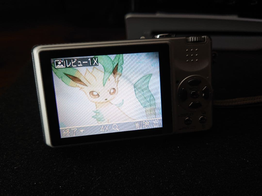 パナソニック カメラ Panasonic LUMIX DMC-FX7 です！