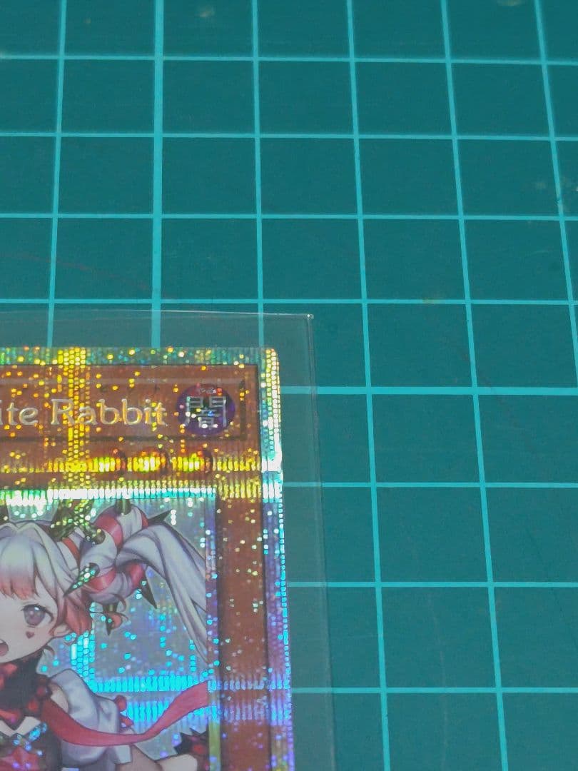 M∀LICE ＜P＞WhiteRabbit プリシク