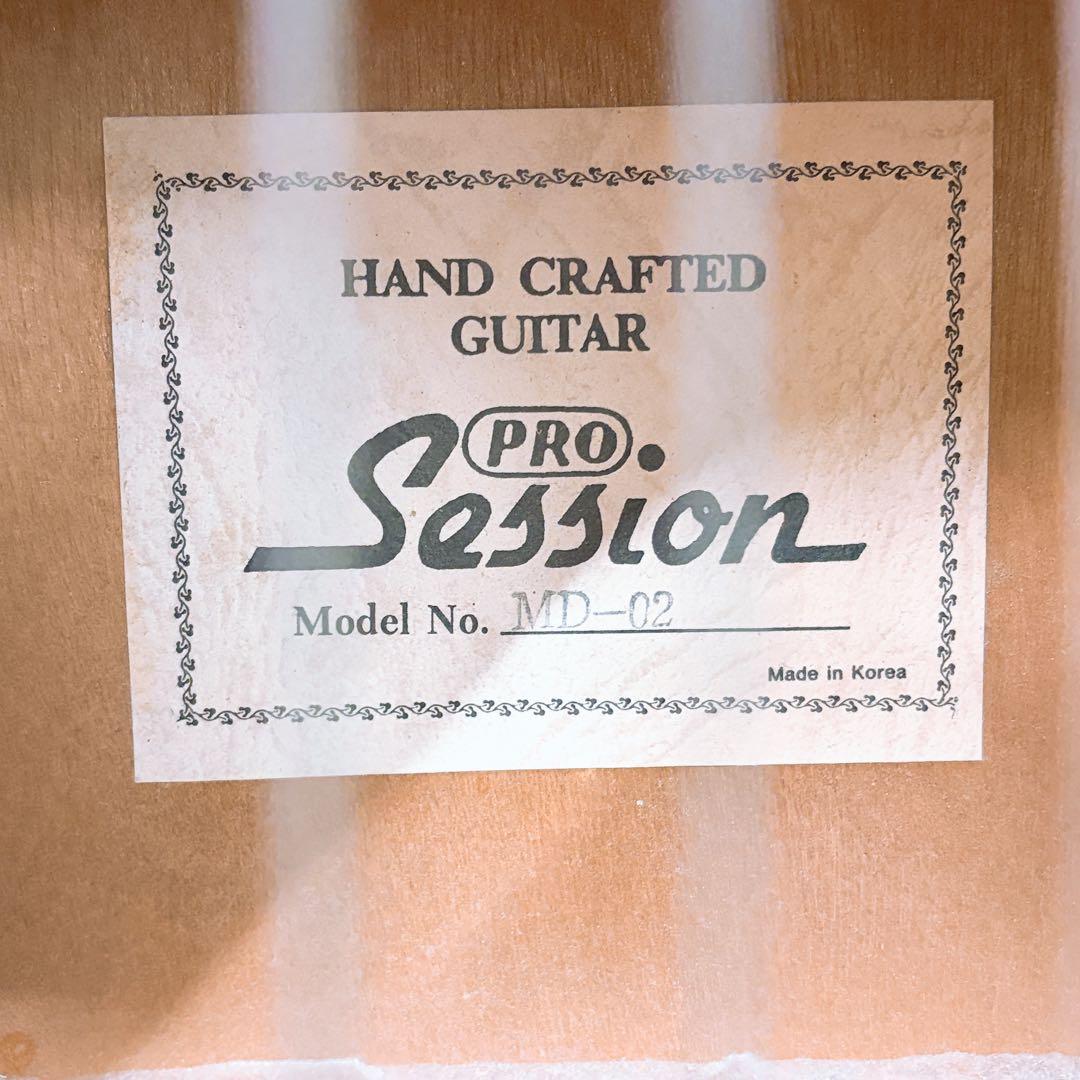 Session PRO　アコースティックギター　MD-02　アコギ