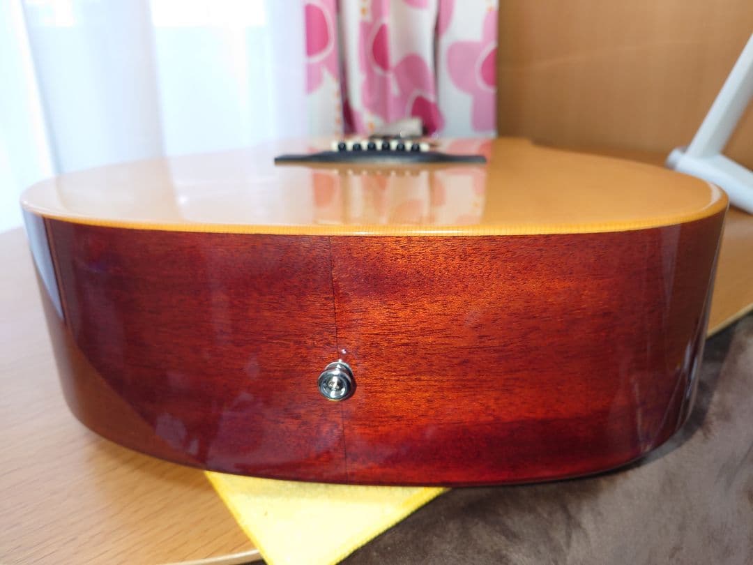 【美品・トップ単板】 　ELVIS Elite-2 　アコースティックギター