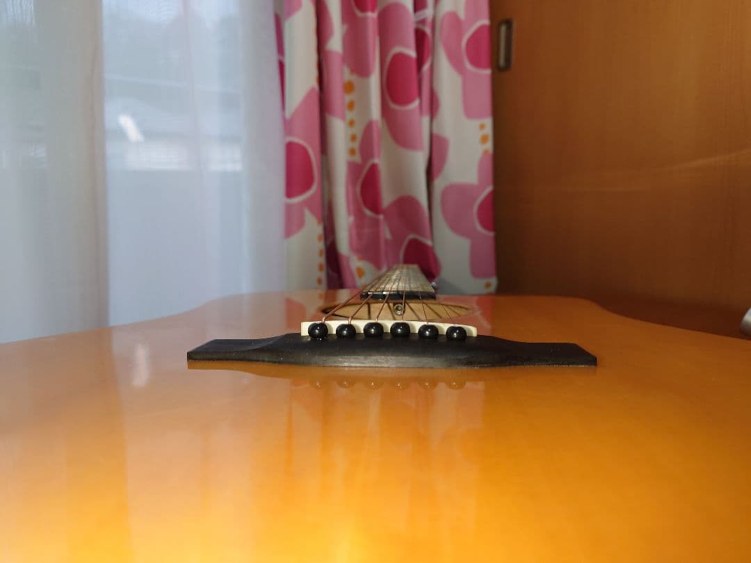 【美品・トップ単板】 　ELVIS Elite-2 　アコースティックギター