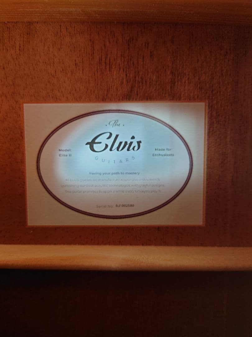 【美品・トップ単板】 　ELVIS Elite-2 　アコースティックギター