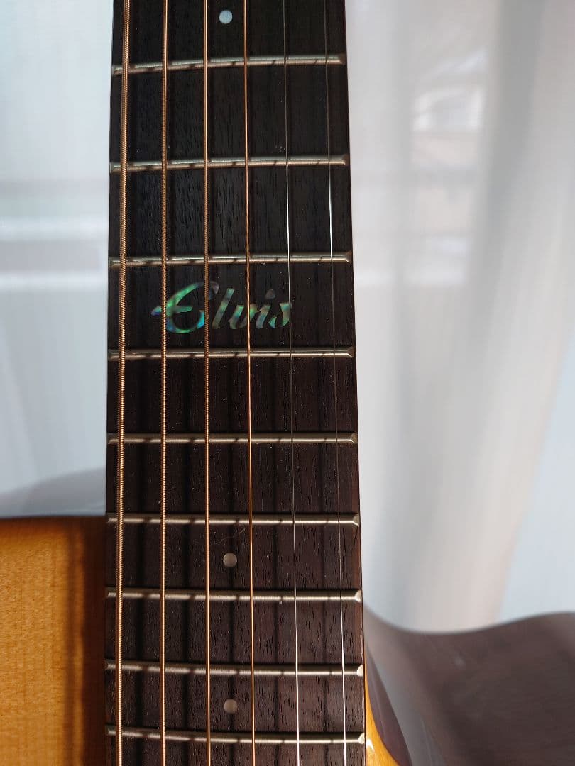 【美品・トップ単板】 　ELVIS Elite-2 　アコースティックギター