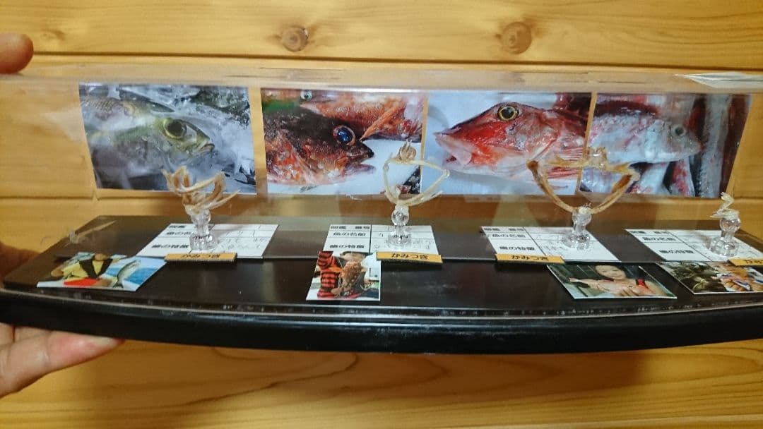 魚　歯　標本　自由研究