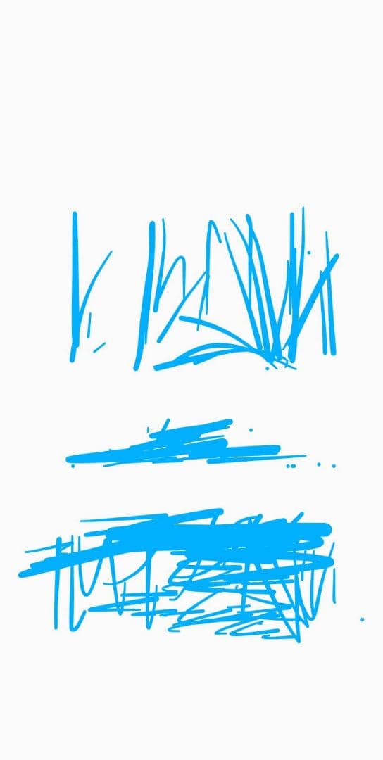 LG G8X ThinQ 本体 + Dual Screen