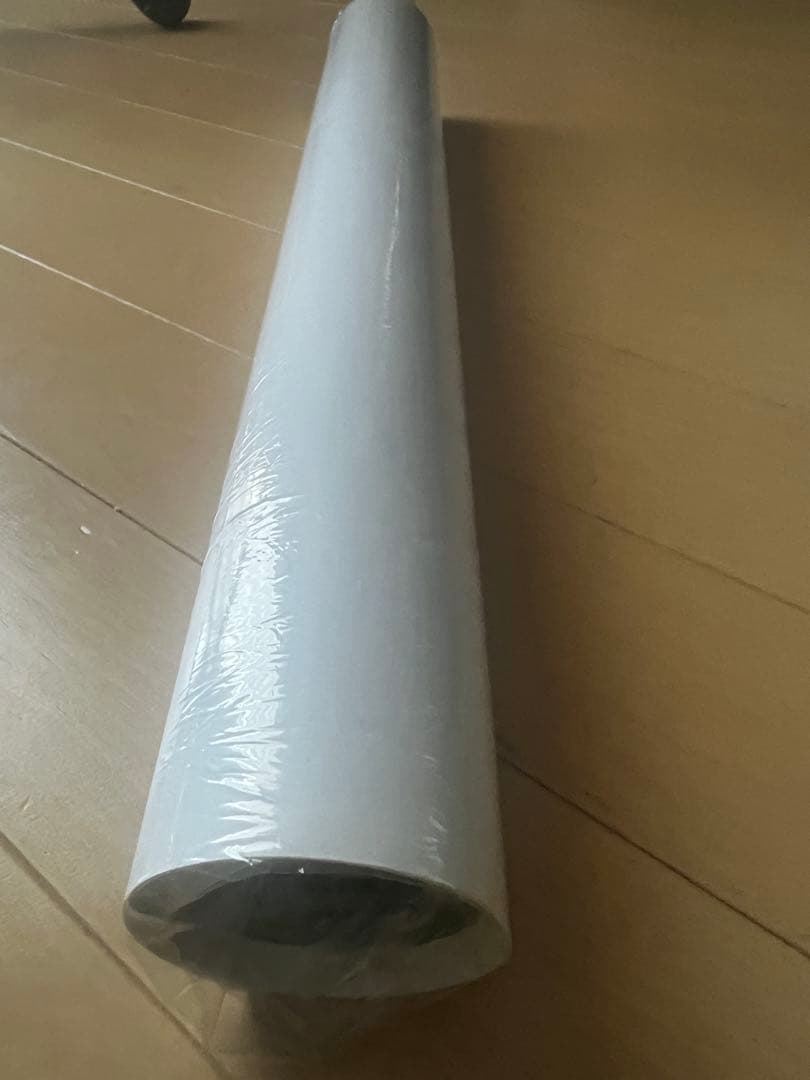 新品 Hi-STANDARD SNBツアー 新潟 限定 ポスター ハイスタ