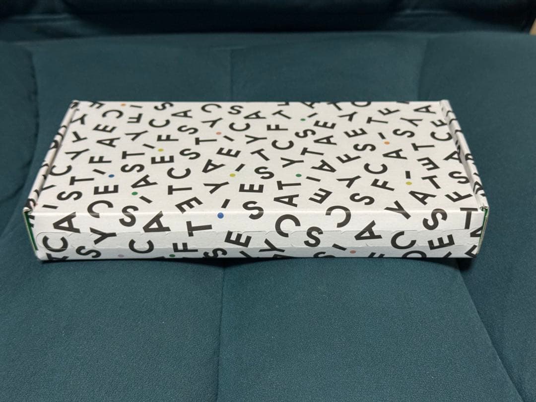 CASETiFY カスタムスマホケース iPhone 17 スマホケース