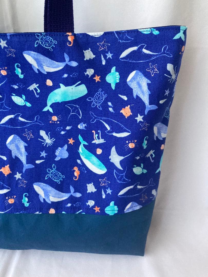 本日出荷！海洋生物プリントの入園入学セット