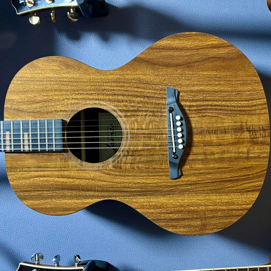 【美品】James トランスギターJ-100A MHT ギグケース付属