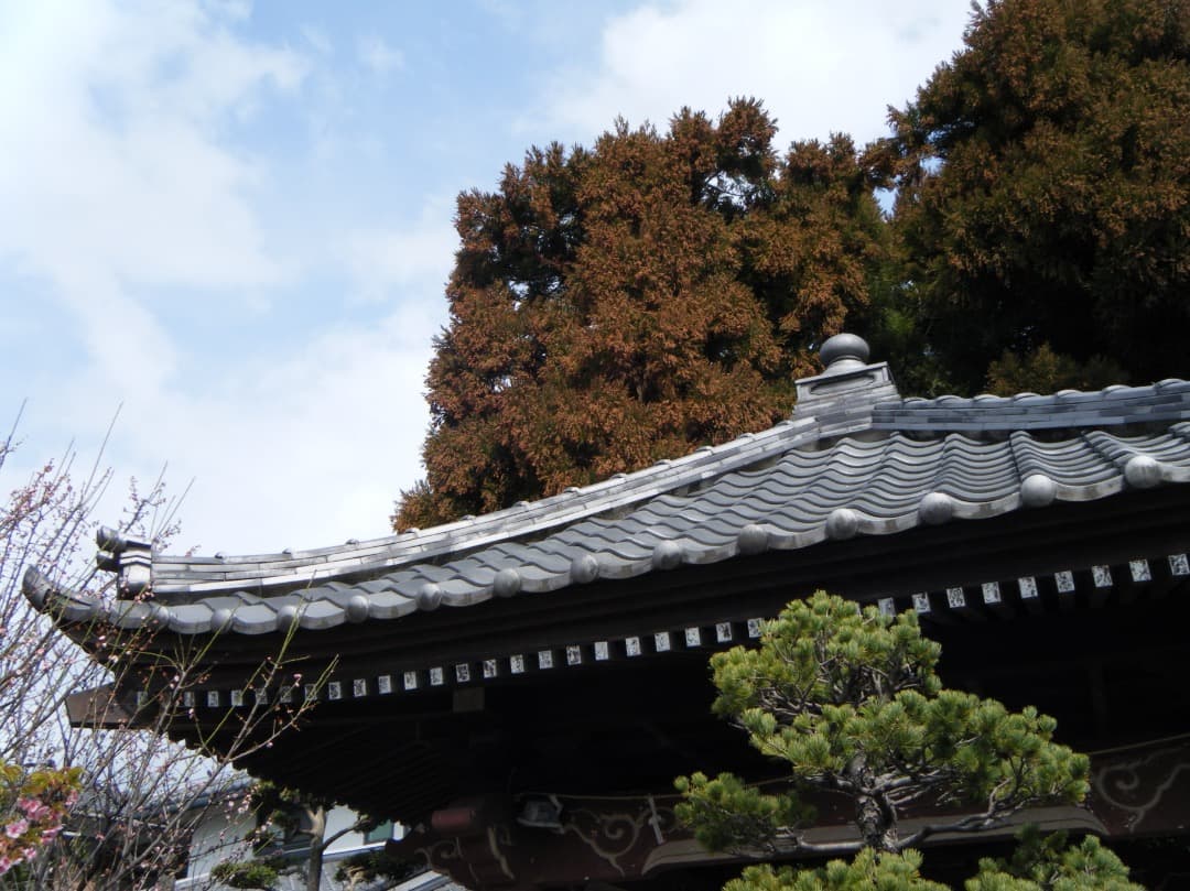 実写美⭕️【動作確認済】FUJIFILM 防水 FinePix Z33WP