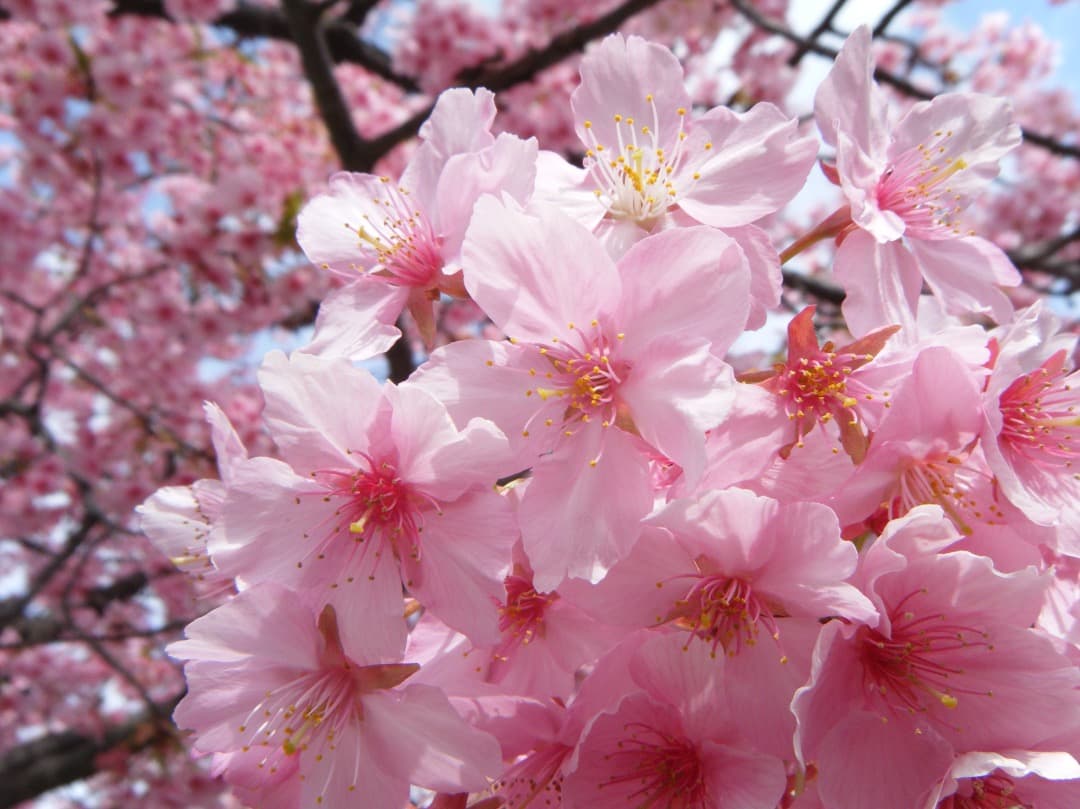 実写美⭕️【動作確認済】FUJIFILM 防水 FinePix Z33WP