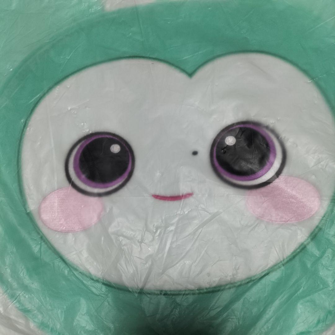 TWICE ベイビーミブリー【ミナ】 ラブリーズ うちわケース　未使用品