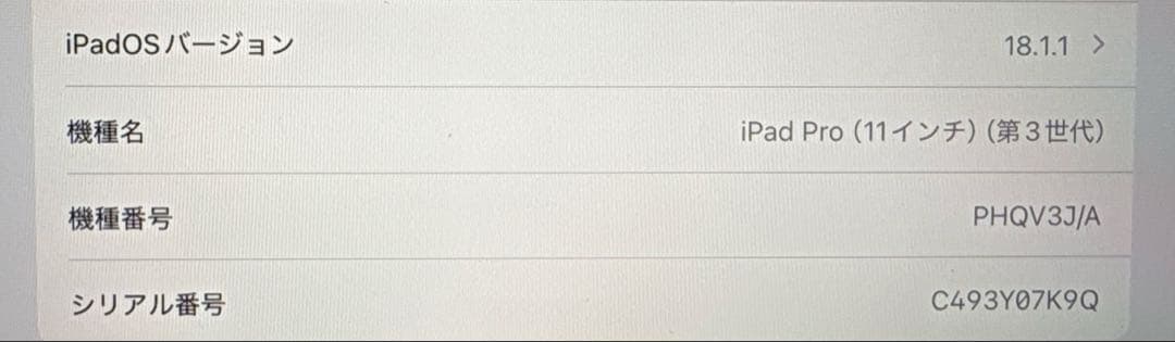 Apple iPad Pro (第3世代) 11インチ 256GB Wi-Fi