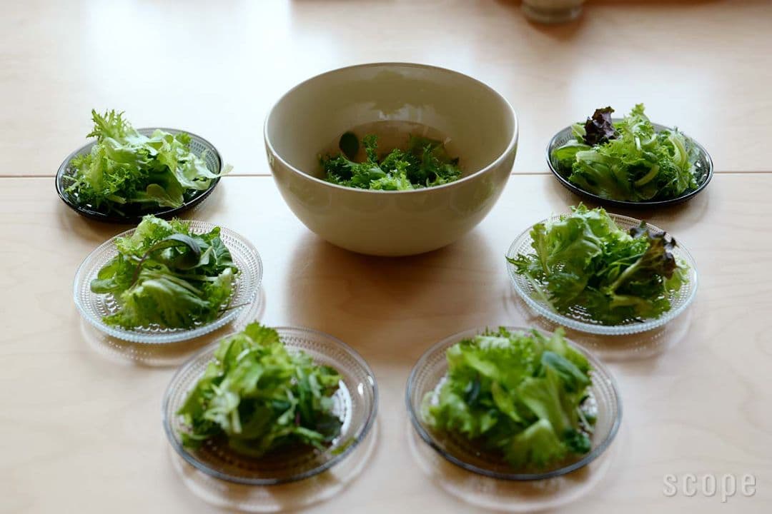 / Teemaボウル3.4L　リネン