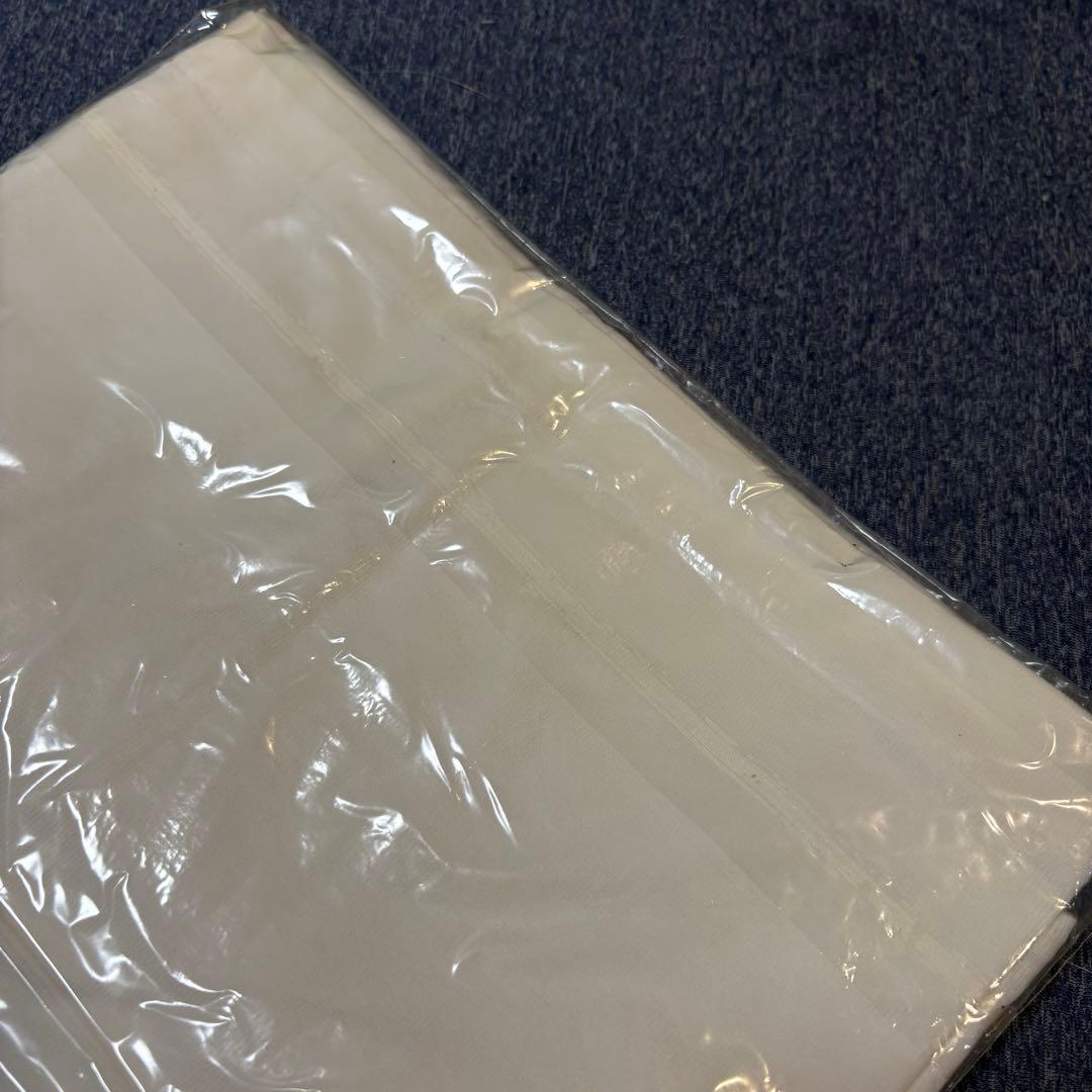 access デリケートプラネットツアー ライブグッズ Tシャツ