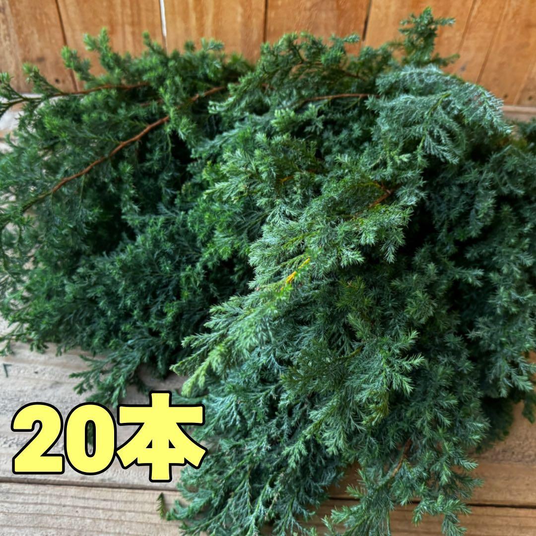 tumugiba様 リクエスト 2点 まとめ商品