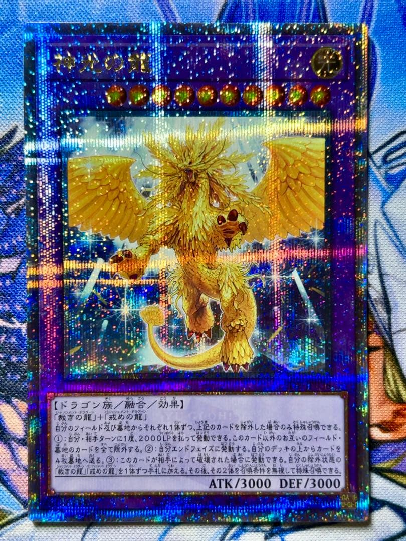 遊戯王　ライトロード　25th セット