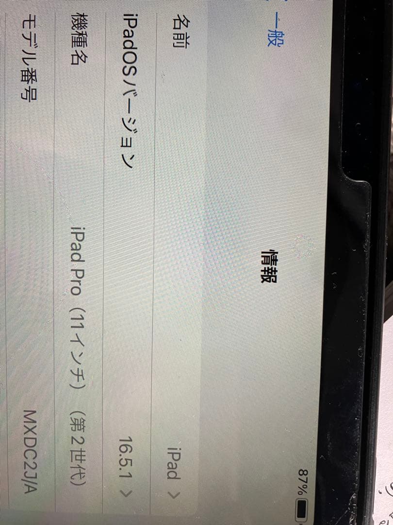 Apple iPadPro2世代256G11インチwi-fiバッテリー残量95%