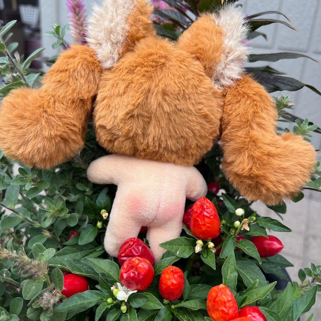 り*読様 自作ぬいぐるみ 無属性 チョコレートちゃん