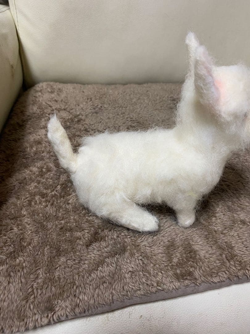 Kei♡♡♡