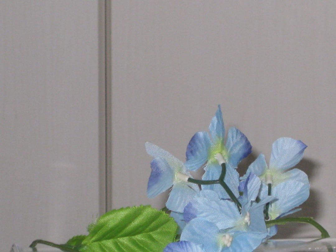 Canon カメラ　IXY 25IS PC1262 充電器　箱 コンデジ　動作品