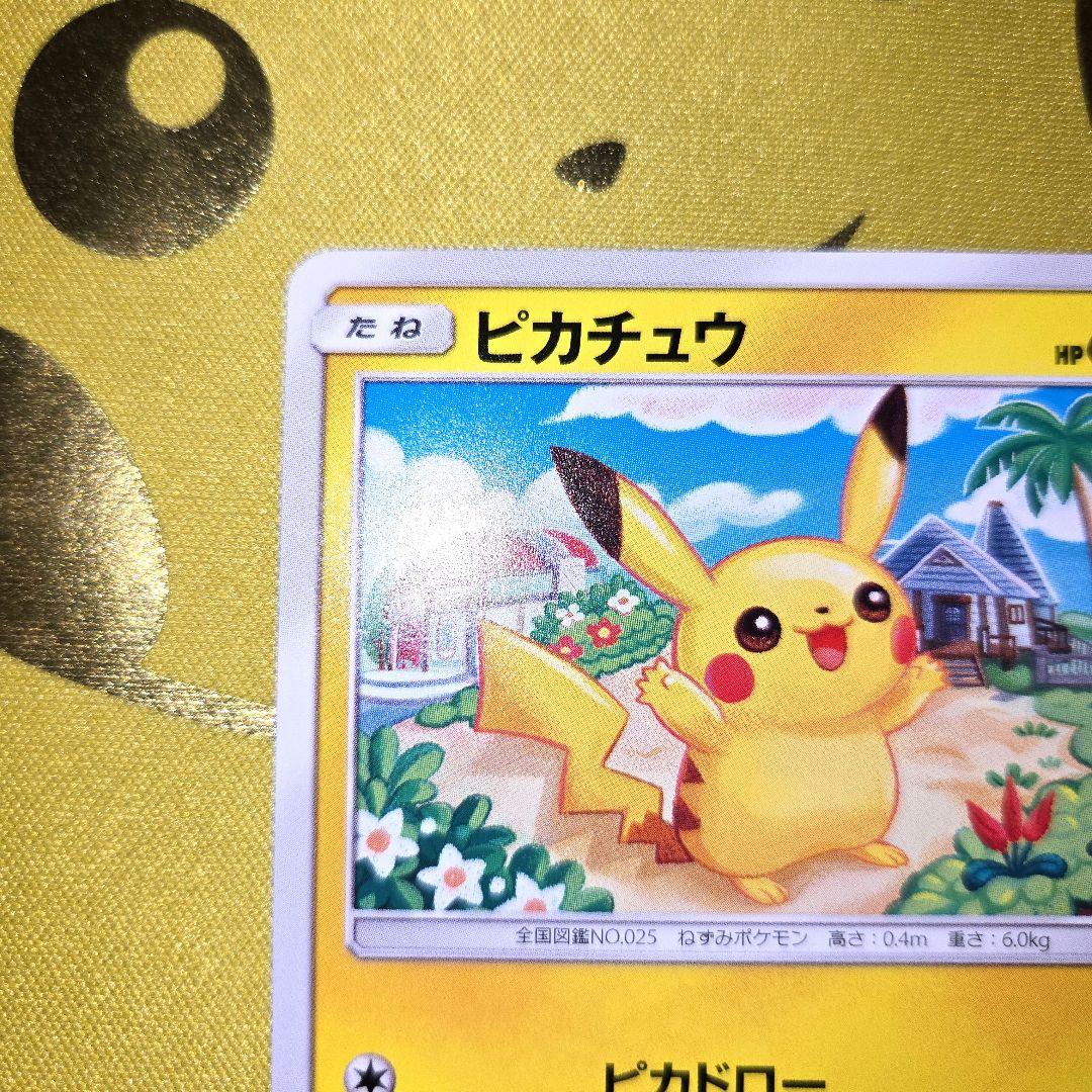2017年 超次元の暴獣　ピカチュウ