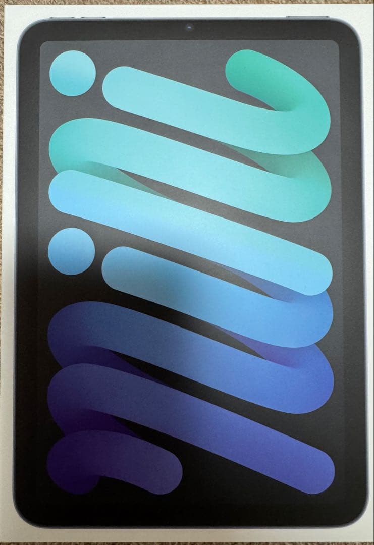 iPad mini (第6世代) 64GB Wi-Fi 美品