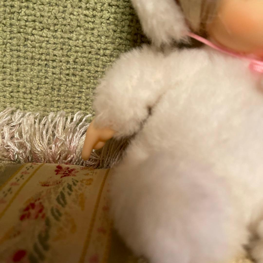 綿の国星✨チビ猫パフィドール