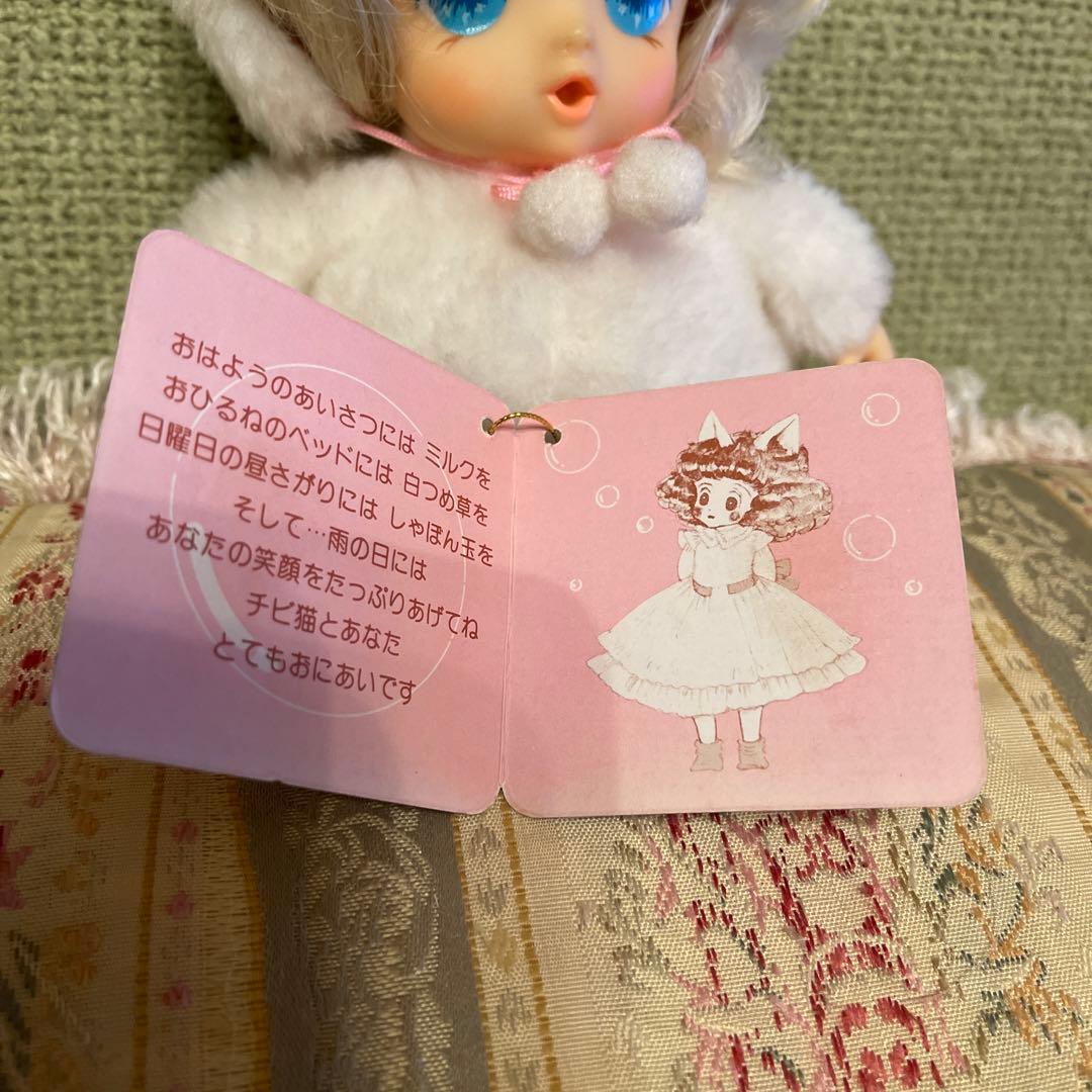 綿の国星✨チビ猫パフィドール