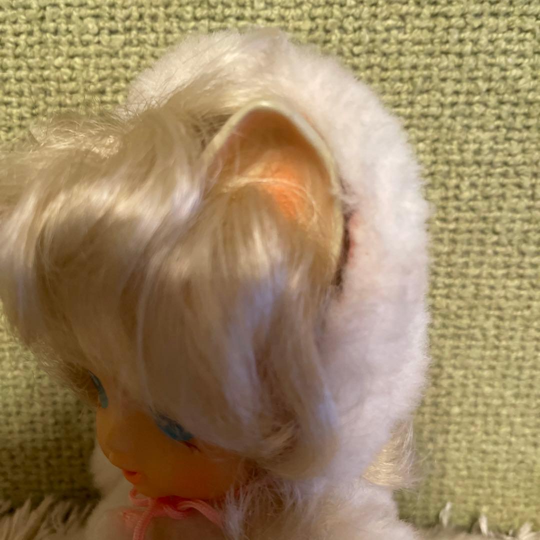 綿の国星✨チビ猫パフィドール