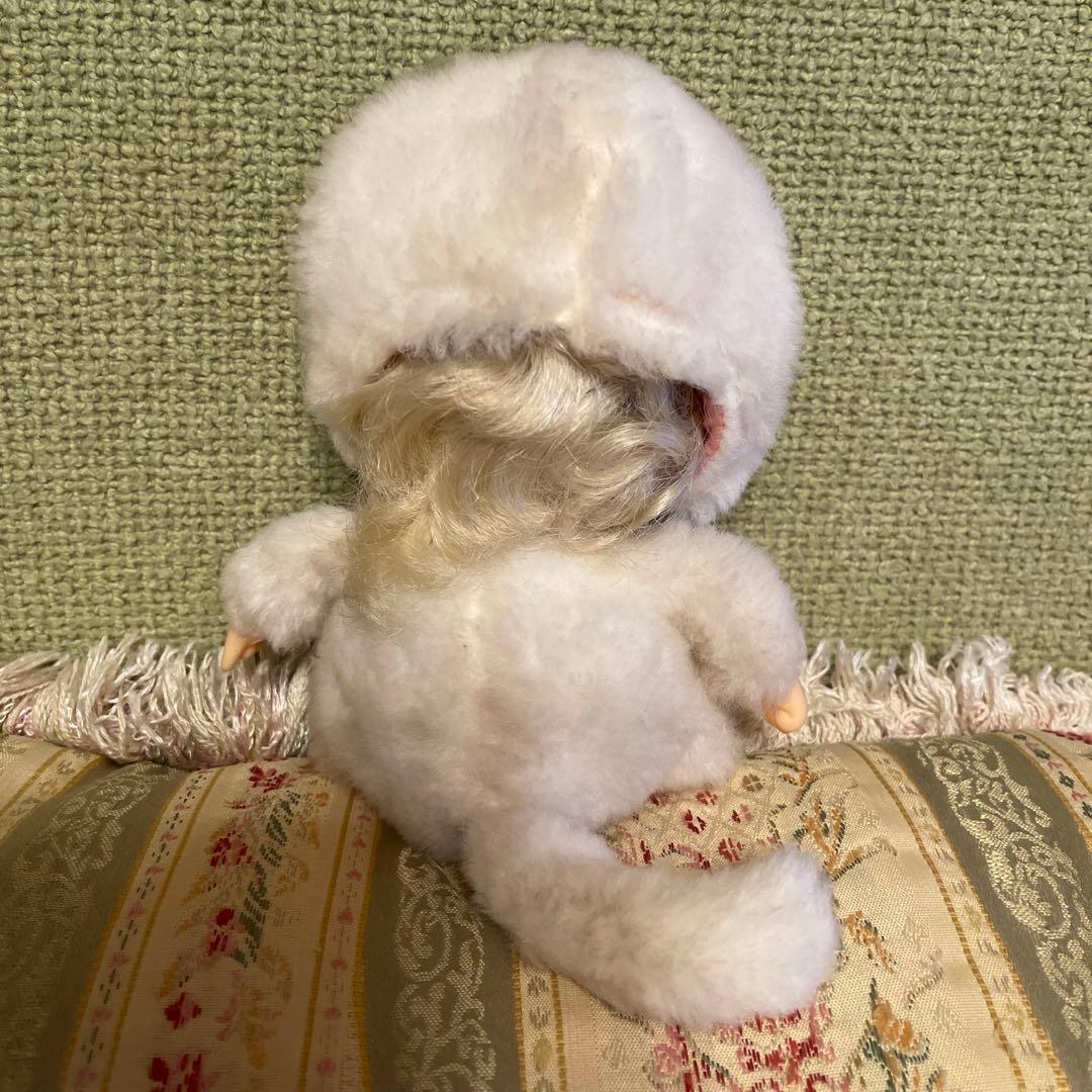 綿の国星✨チビ猫パフィドール